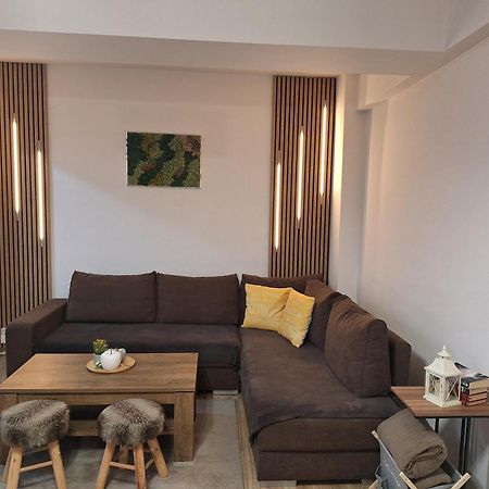 Angel Apartament Сибиу Экстерьер фото