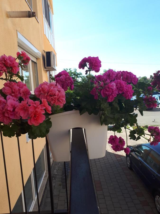 Angel Apartament Сибиу Экстерьер фото