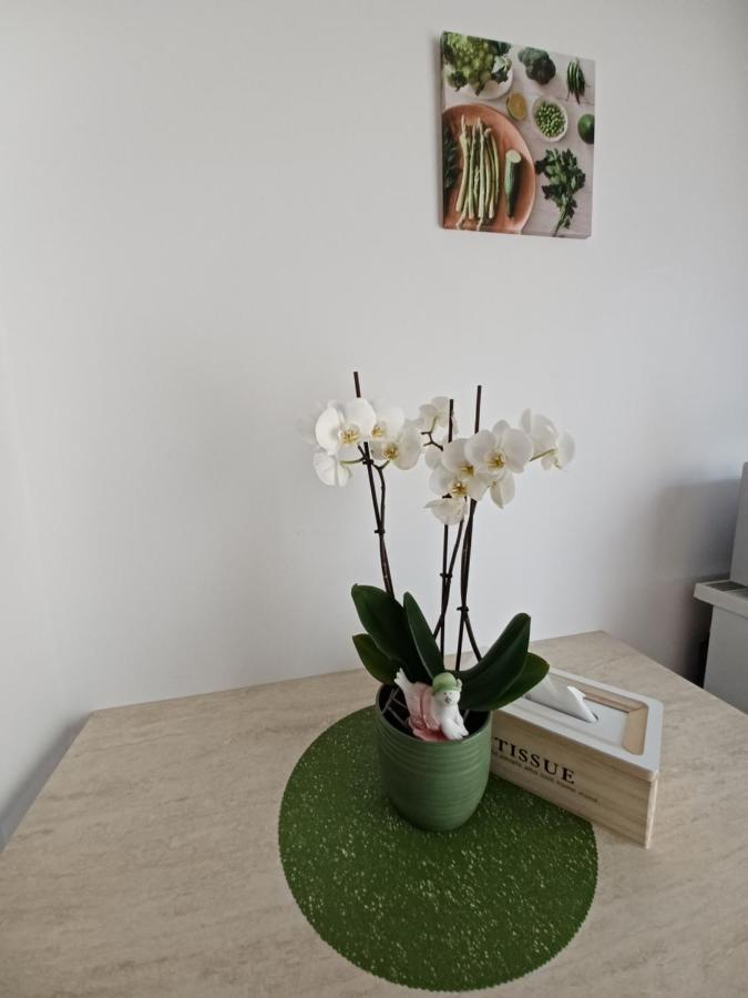 Angel Apartament Сибиу Экстерьер фото