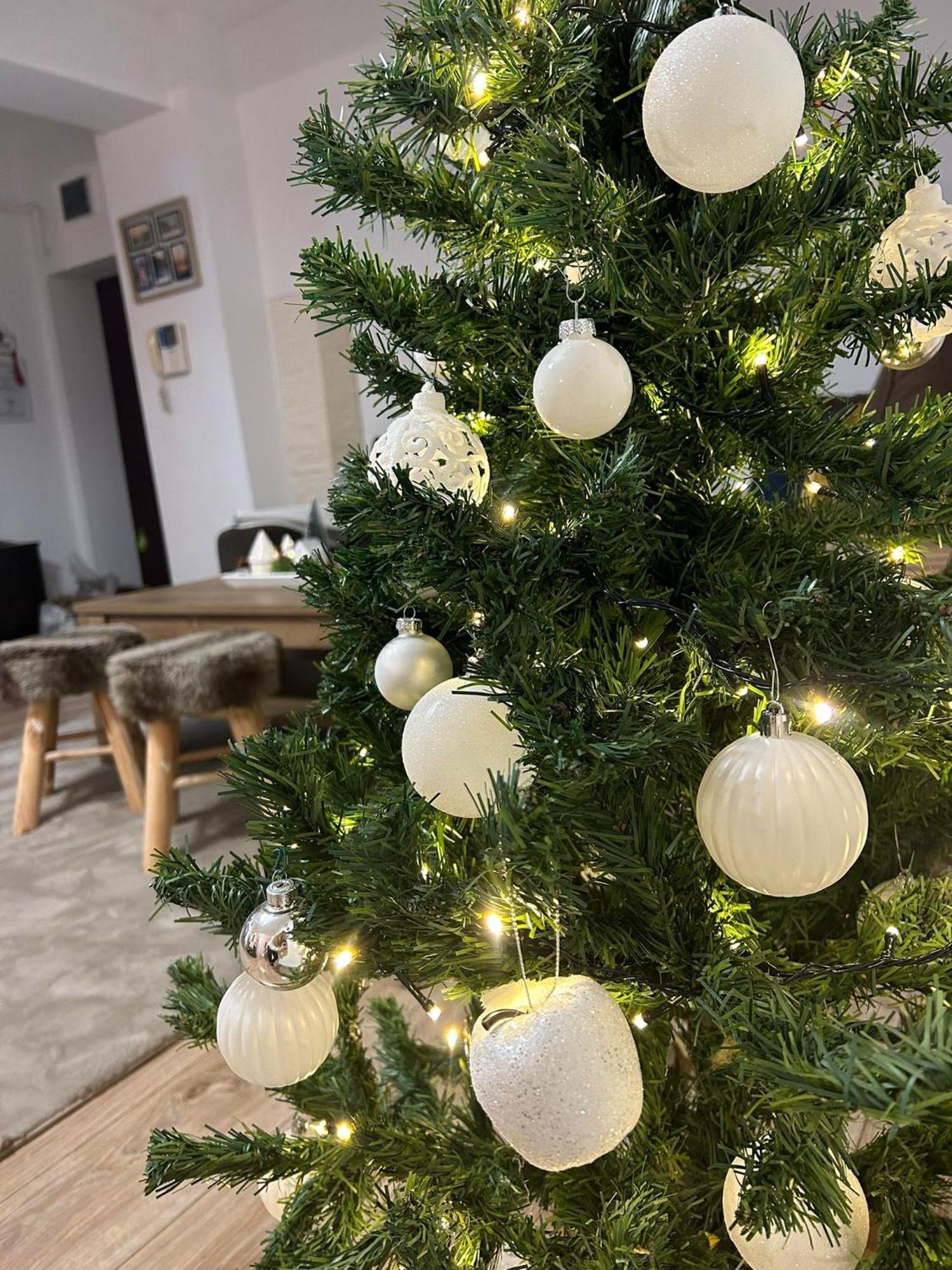 Angel Apartament Сибиу Экстерьер фото