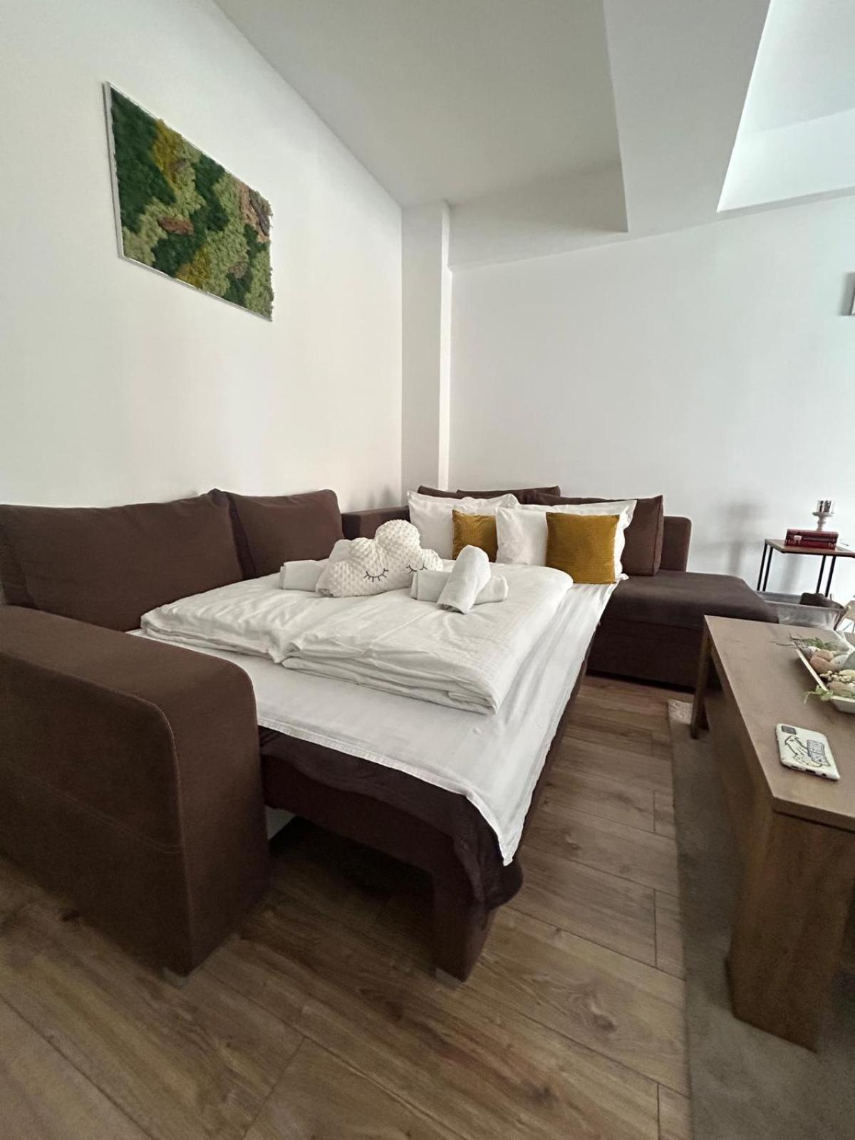 Angel Apartament Сибиу Экстерьер фото