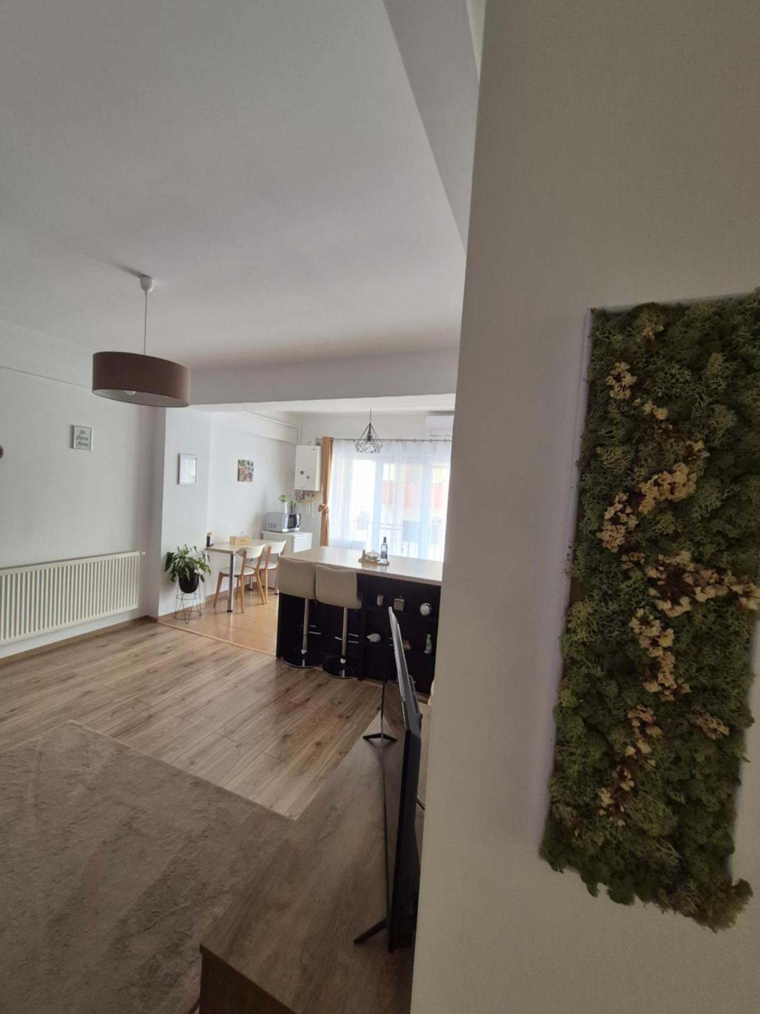 Angel Apartament Сибиу Экстерьер фото
